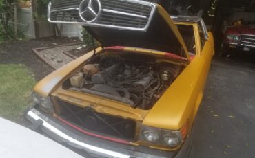 Mercedes-Benz-SL-Class-1975-Convertible-14