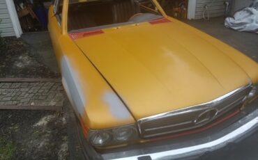 Mercedes-Benz-SL-Class-1975-Convertible-19