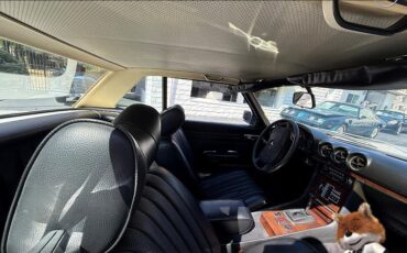 Mercedes-Benz-SL-Class-1978-Convertible-4