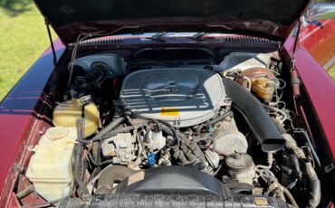 Mercedes-Benz-SL-Class-1981-Convertible-10