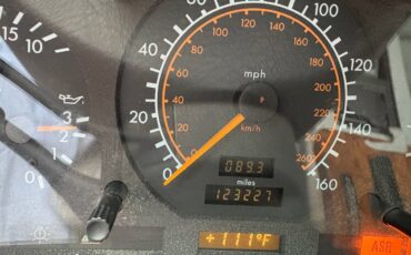 Mercedes-al-320-1995-8