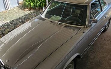 Mercedes-benz-1973-silver-1