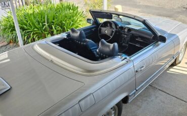 Mercedes-benz-1973-silver-4