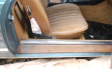 Mercedes-benz-1977-blue-5
