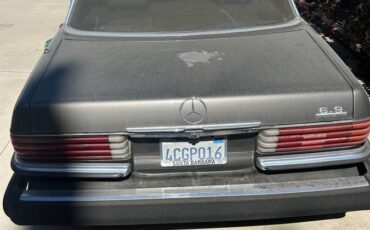 Mercedes-benz-1979-grey-1
