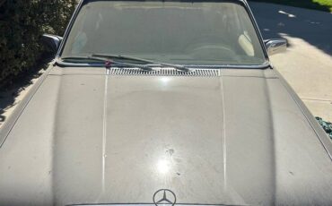 Mercedes-benz-1979-grey