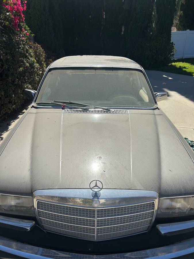 Mercedes-benz-1979-grey