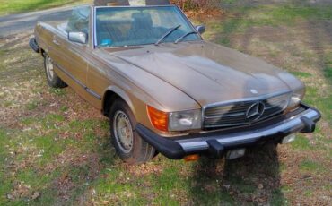 Mercedes-benz-1980-brown-1
