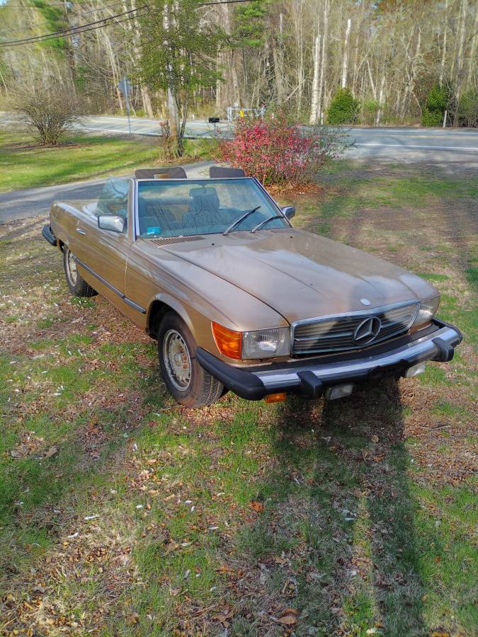 Mercedes-benz-1980-brown-1