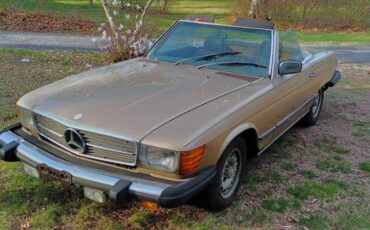 Mercedes-benz-1980-brown-2