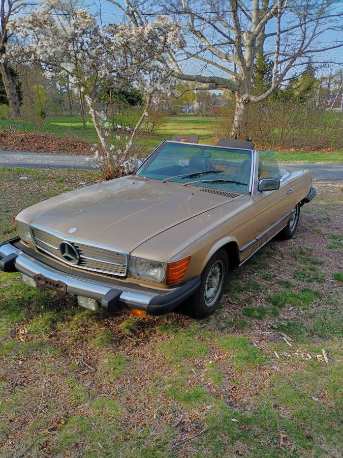 Mercedes-benz-1980-brown-2