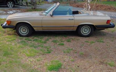 Mercedes-benz-1980-brown-3
