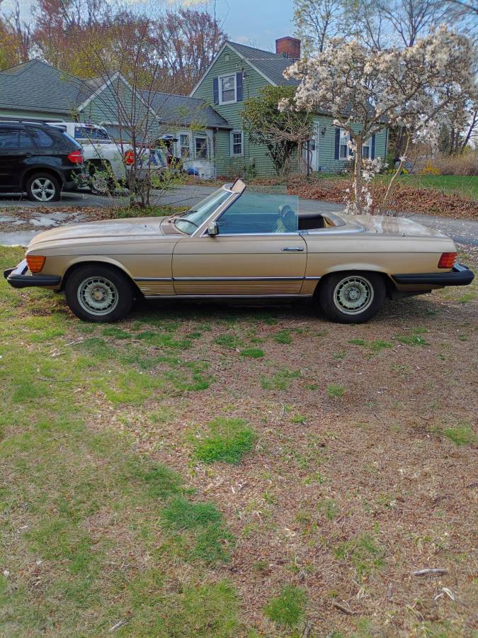 Mercedes-benz-1980-brown-3