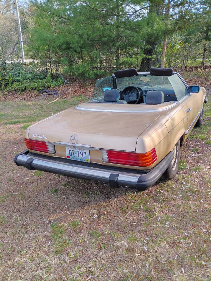 Mercedes-benz-1980-brown-4