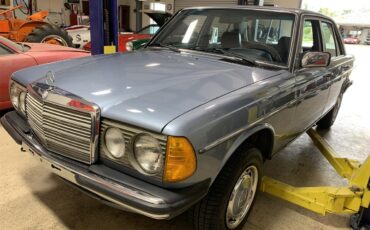 Mercedes-benz-250-1985-Blue-Blue-21