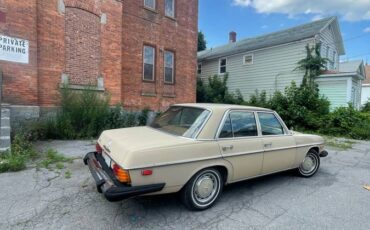 Mercedes-benz-280-1974-brown-1