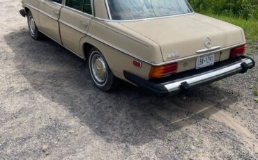 Mercedes-benz-280-1974-brown-3