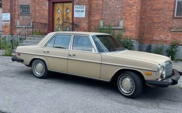 Mercedes-benz-280-1974-brown