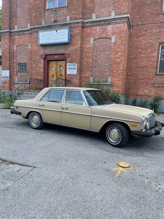 Mercedes-benz-280-1974-brown