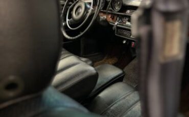 Mercedes-benz-280se-1969-Brown-Black-27