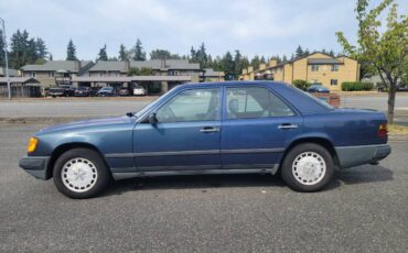 Mercedes-benz-300-300dt-diesel-1987-blue-10