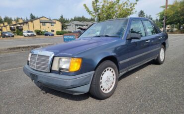 Mercedes-benz-300-300dt-diesel-1987-blue-23