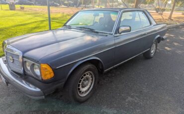 Mercedes-benz-300cd-diesel-1983-blue-2