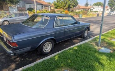 Mercedes-benz-300cd-diesel-1983-blue-8