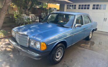 Mercedes-benz-300d-diesel-1984-blue-5