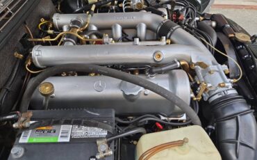 Mercedes-benz-300sel-6.3-1969-green-20