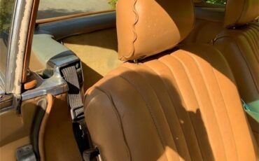 Mercedes-benz-380sl-1982-Gold-Gold-Palamino-10