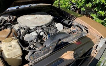 Mercedes-benz-380sl-1982-Gold-Gold-Palamino-6