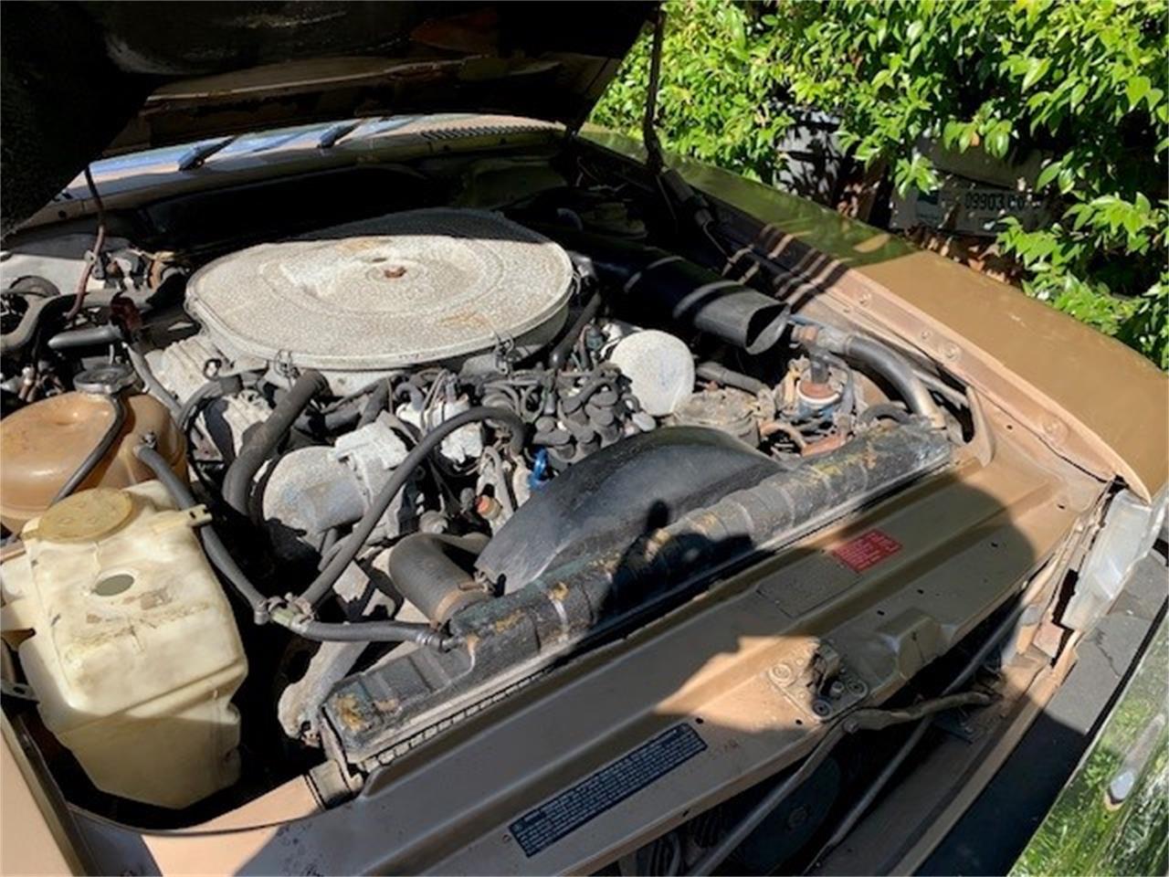 Mercedes-benz-380sl-1982-Gold-Gold-Palamino-6