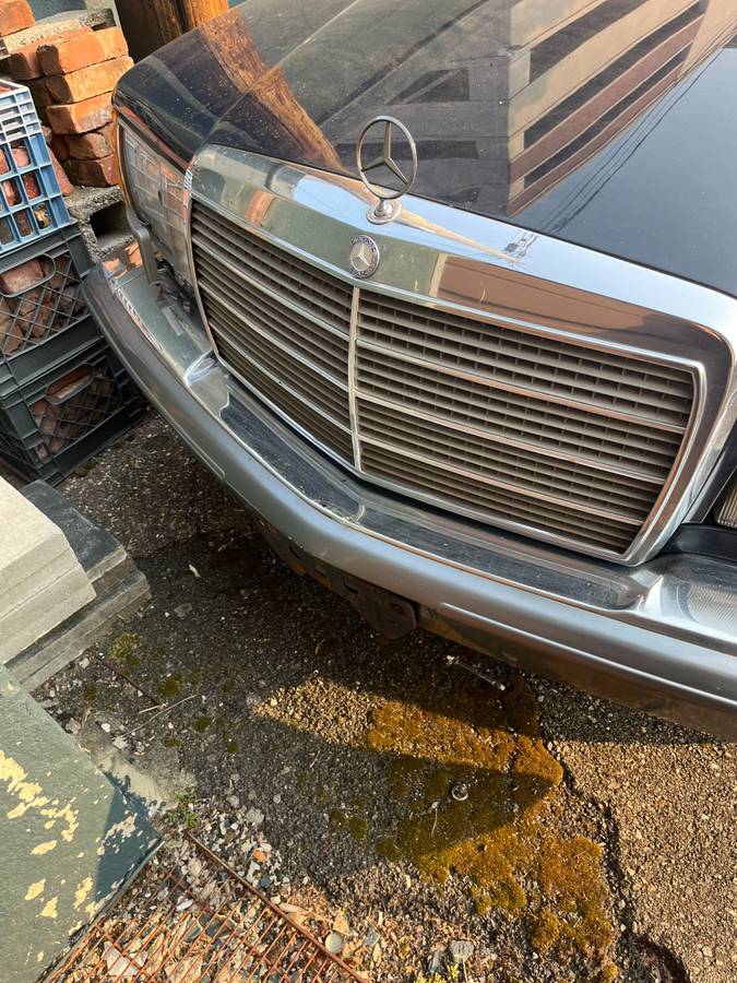 Mercedes-benz-420sel-1986-blue-9
