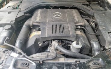 Mercedes-benz-500-sel-1993-black-9
