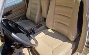 Mercedes-benz-560-560sel-1989-silver-20