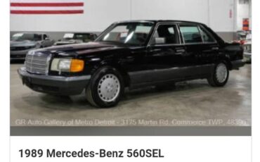Mercedes-benz-560-560sel-1989-silver-24