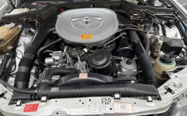 Mercedes-benz-560-560sel-1990-silver-18