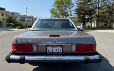 Mercedes-benz-560-560sl-1988-brown-13
