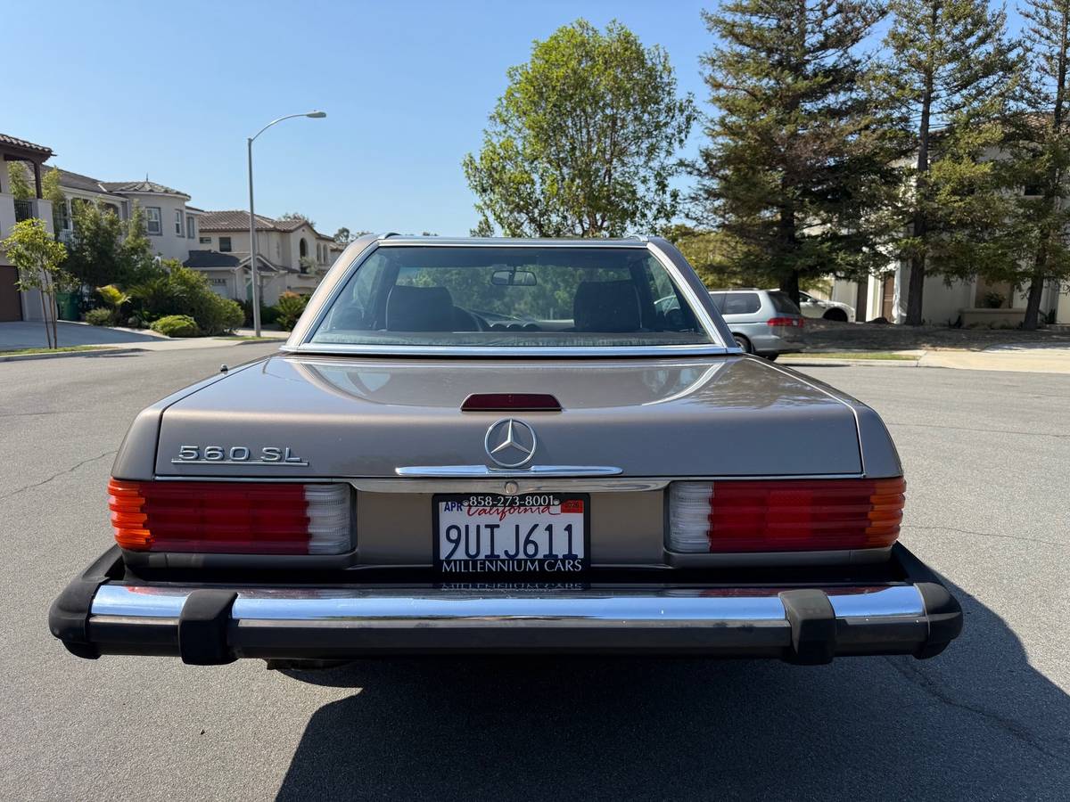Mercedes-benz-560-560sl-1988-brown-13