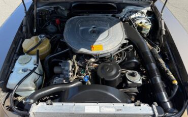 Mercedes-benz-560-560sl-1988-brown-14