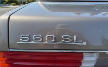 Mercedes-benz-560-560sl-1988-brown-20