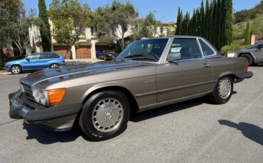 Mercedes-benz-560-560sl-1988-brown-5