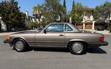 Mercedes-benz-560-560sl-1988-brown-8