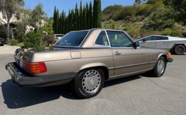Mercedes-benz-560-560sl-1988-brown-9