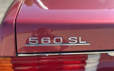 Mercedes-benz-560-560sl-1989-custom-14