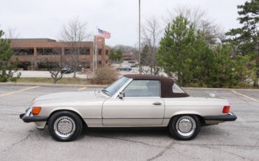Mercedes-benz-560-560sl-1989-silver-10