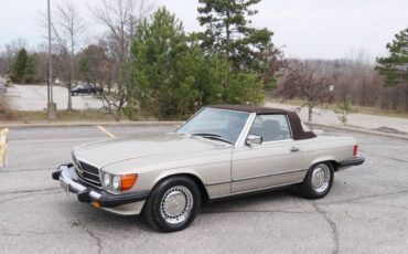 Mercedes-benz-560-560sl-1989-silver-2