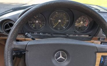 Mercedes-benz-Other-1980-Light-Ivory-Sand-15