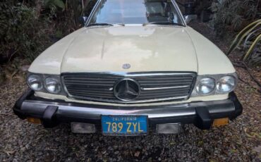 Mercedes-benz-Other-1980-Light-Ivory-Sand-20